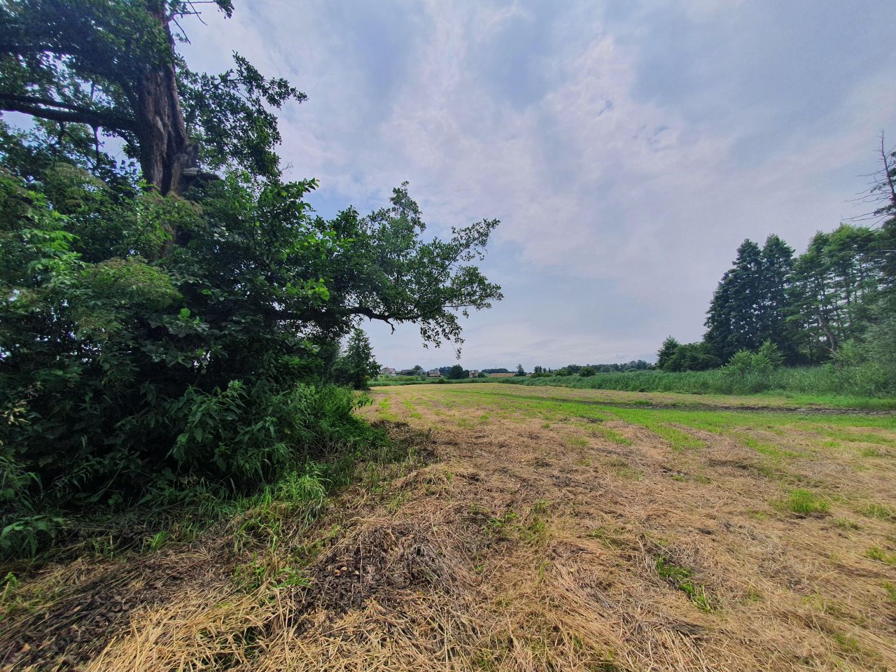 Działka rolna Głęboka. Zdjęcie 11