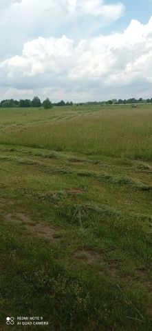 Działka rolna Zawisty Nadbużne. Zdjęcie 1