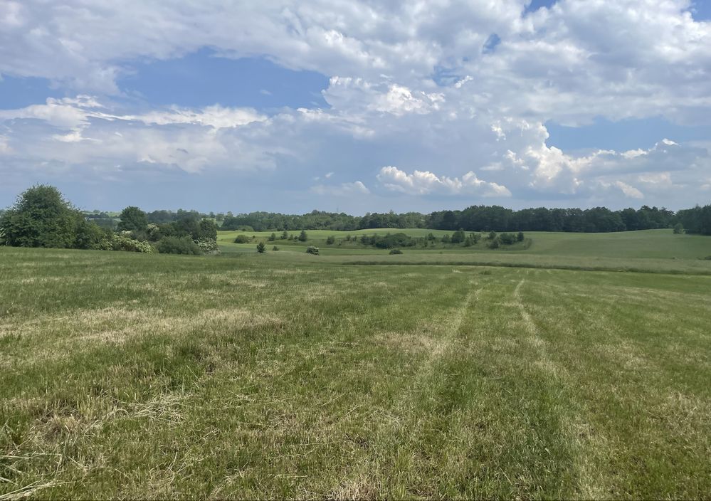 Działka budowlana Muntowo. Zdjęcie 6