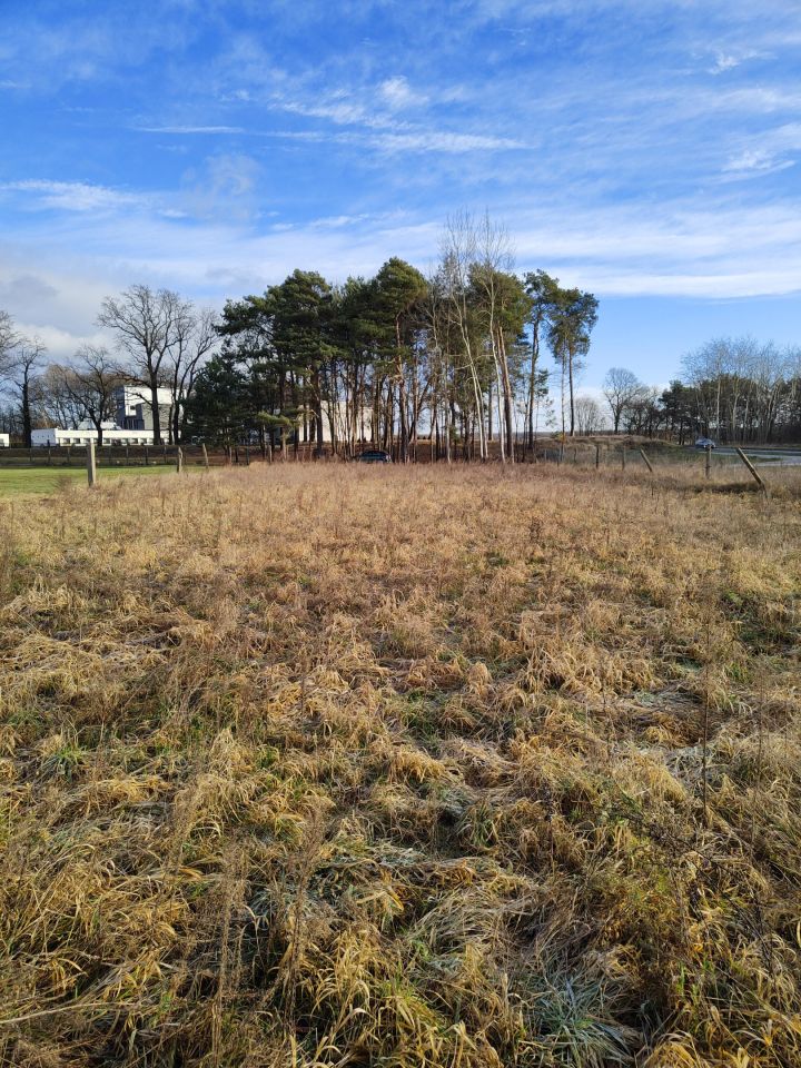 Działka budowlana Nowa Sól Centrum, ul. Głogowska. Zdjęcie 1