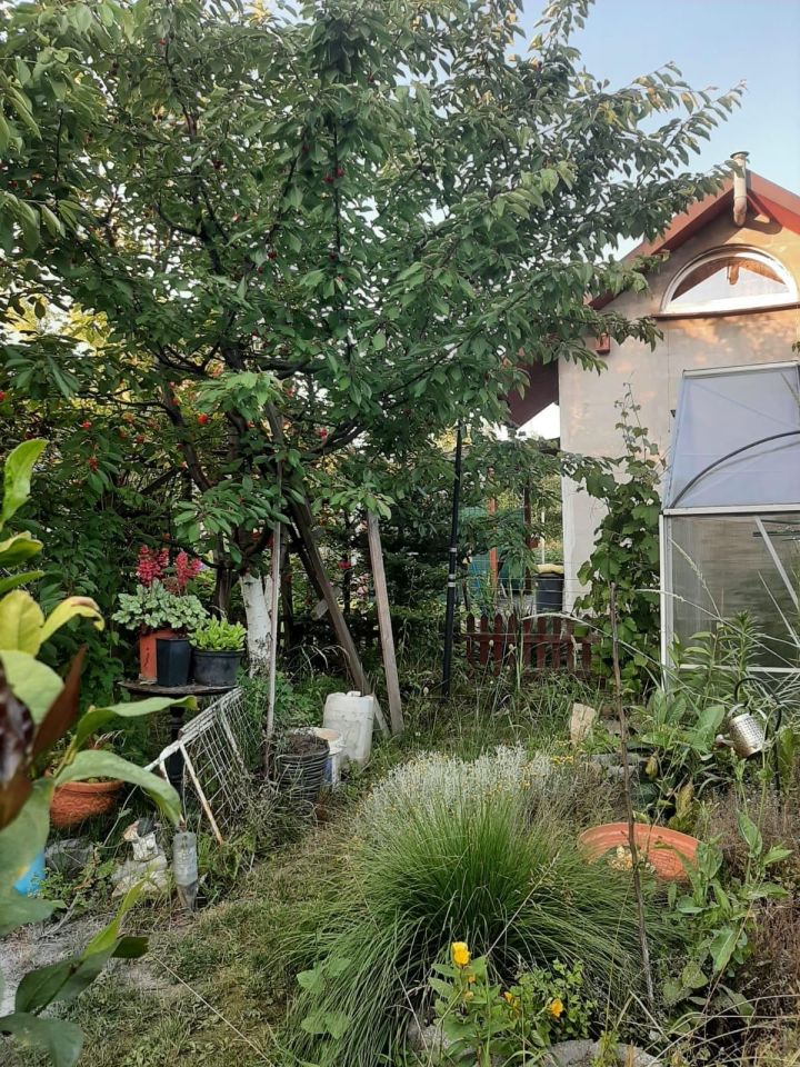 Działka rod Czeladź Kolonia Małobądz, ul. Wiejska. Zdjęcie 3