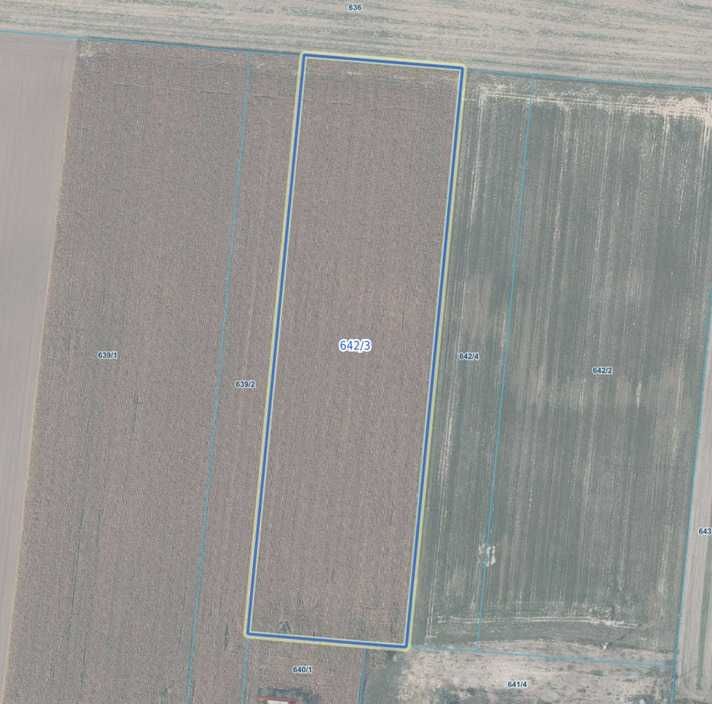 Działka rolna Brody. Zdjęcie 1