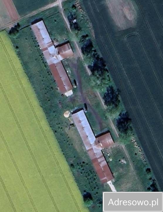 Hala/magazyn Sławno. Zdjęcie 1