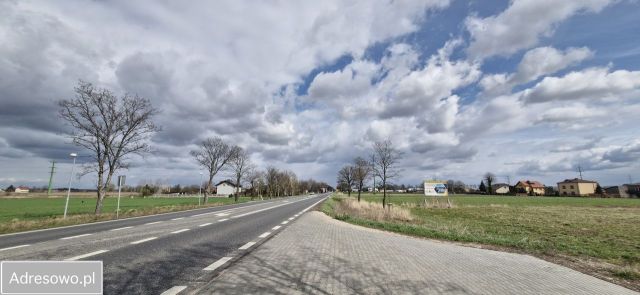 Działka inwestycyjna Topołowa. Zdjęcie 1