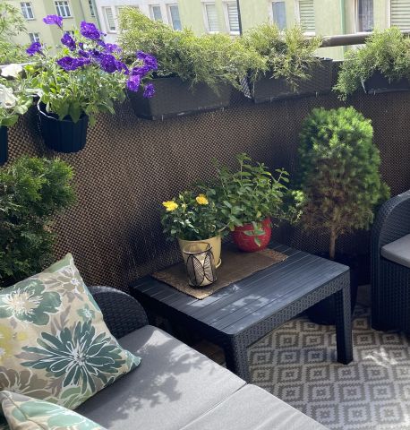 Mieszkanie 3-pokojowe Płock Stare Miasto, ul. Kolegialna. Zdjęcie 14