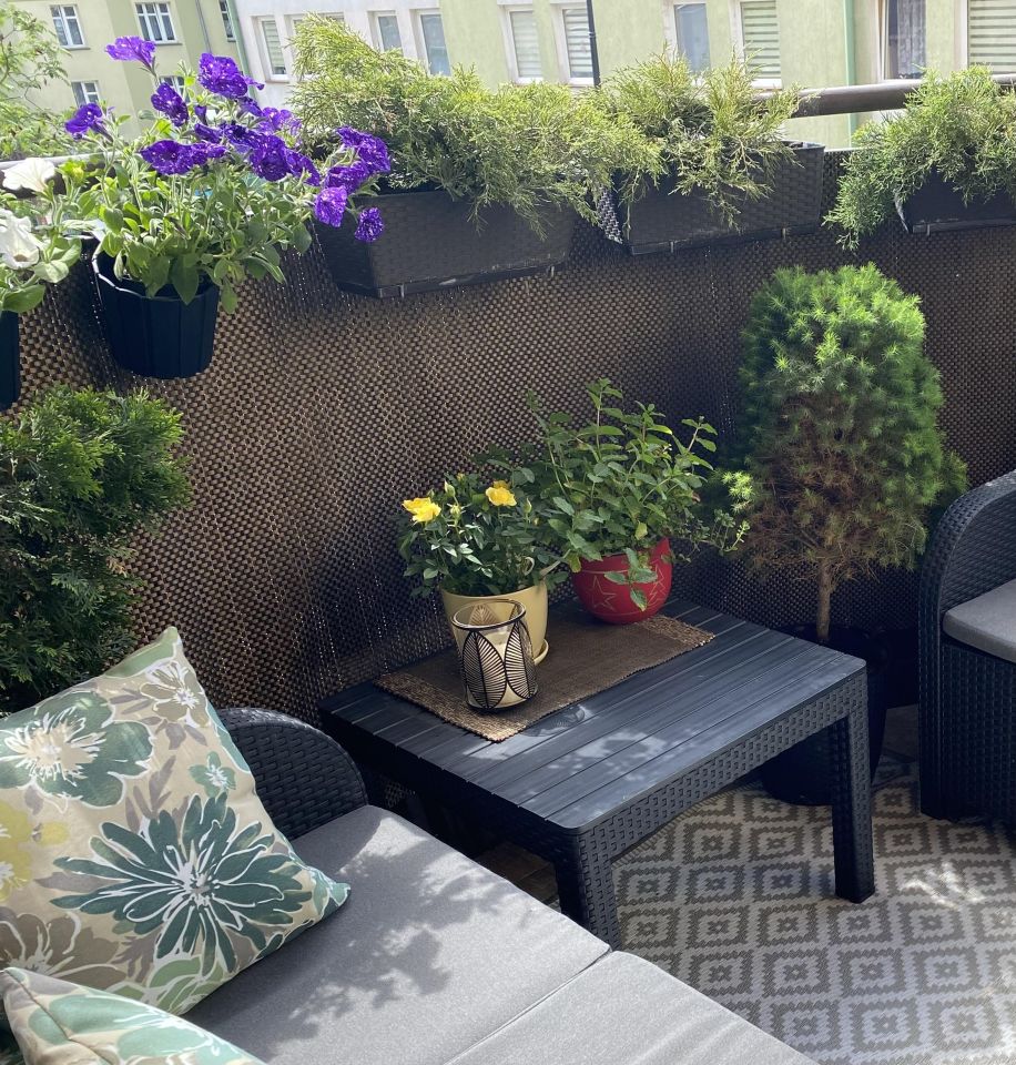 Mieszkanie 3-pokojowe Płock Stare Miasto, ul. Kolegialna. Zdjęcie 14