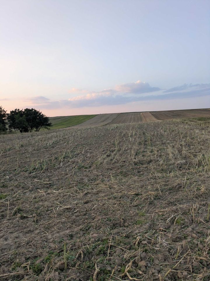 Działka rolna Zagorzyce. Zdjęcie 2