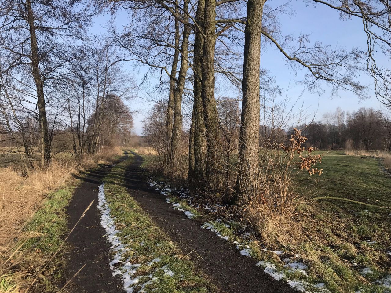 Działka budowlana Kalisz Lis, ul. Myśliwska. Zdjęcie 9