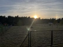 Działka rod Osuchów. Zdjęcie 2