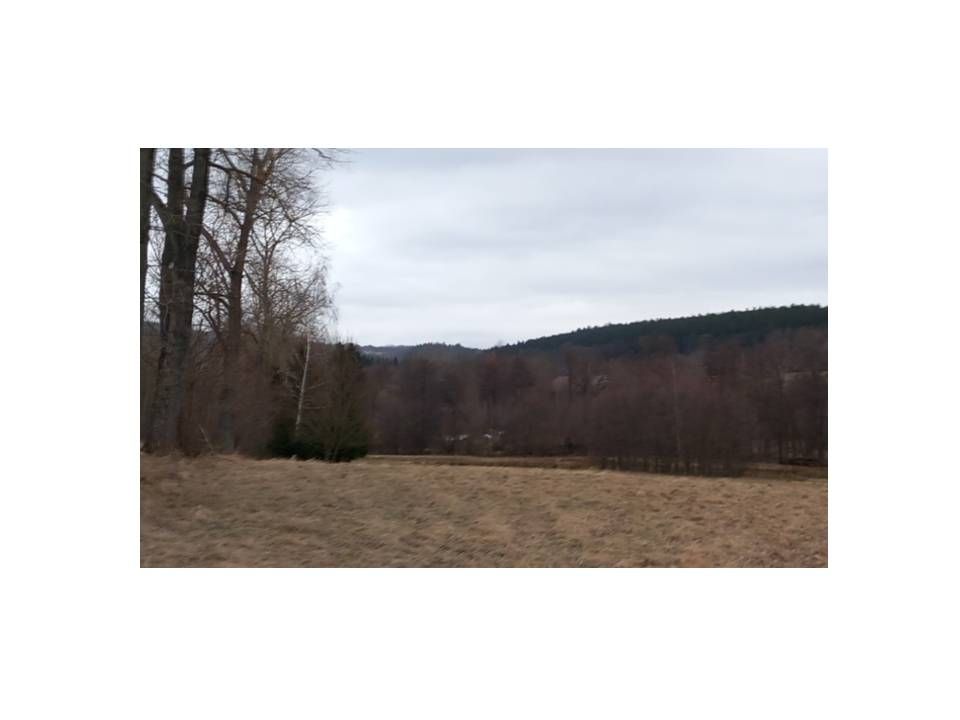 Działka budowlana Starkówek. Zdjęcie 5