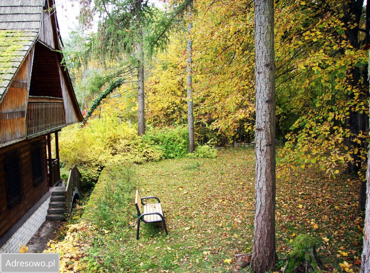 dom wolnostojący, 7 pokoi Zabuże. Zdjęcie 2