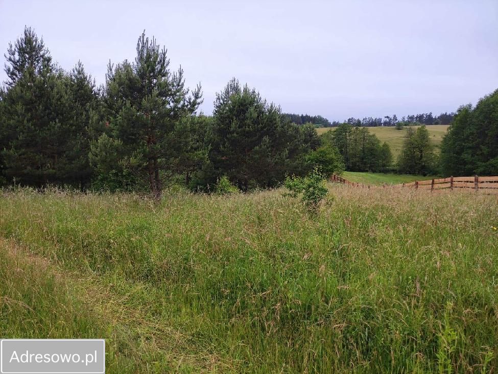 Działka rolna Rostki Skomackie. Zdjęcie 11