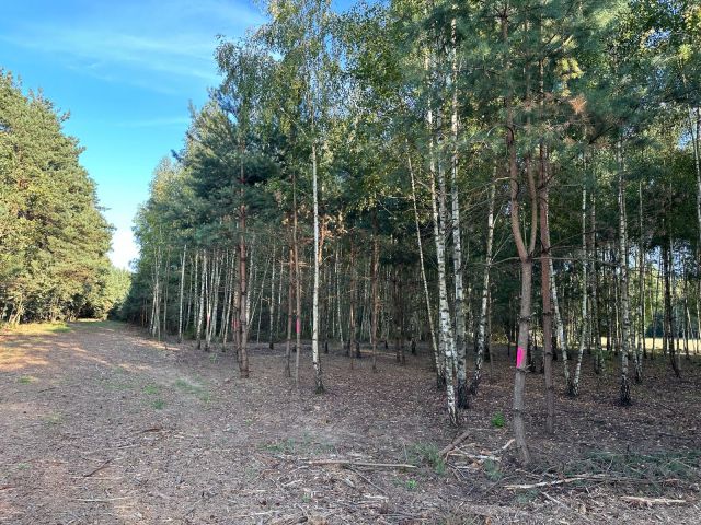 Działka budowlana Ciężków, ul. Akacjowa. Zdjęcie 2