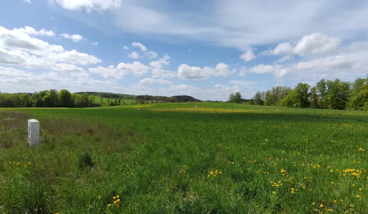 Działka budowlana Szczodrowo Przerębska Huta