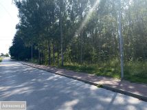 Działka rolna Zagnańsk. Zdjęcie 4