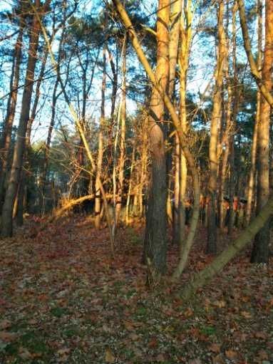 Działka budowlana Warszawa Wawer, ul. Brodnicka