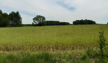 Działka rolna Borkowo, ul. Polna