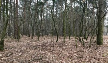 Działka leśna Konstantynów Łódzki Bechcice