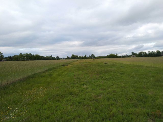 Działka rolno-budowlana Leźnica Mała. Zdjęcie 1