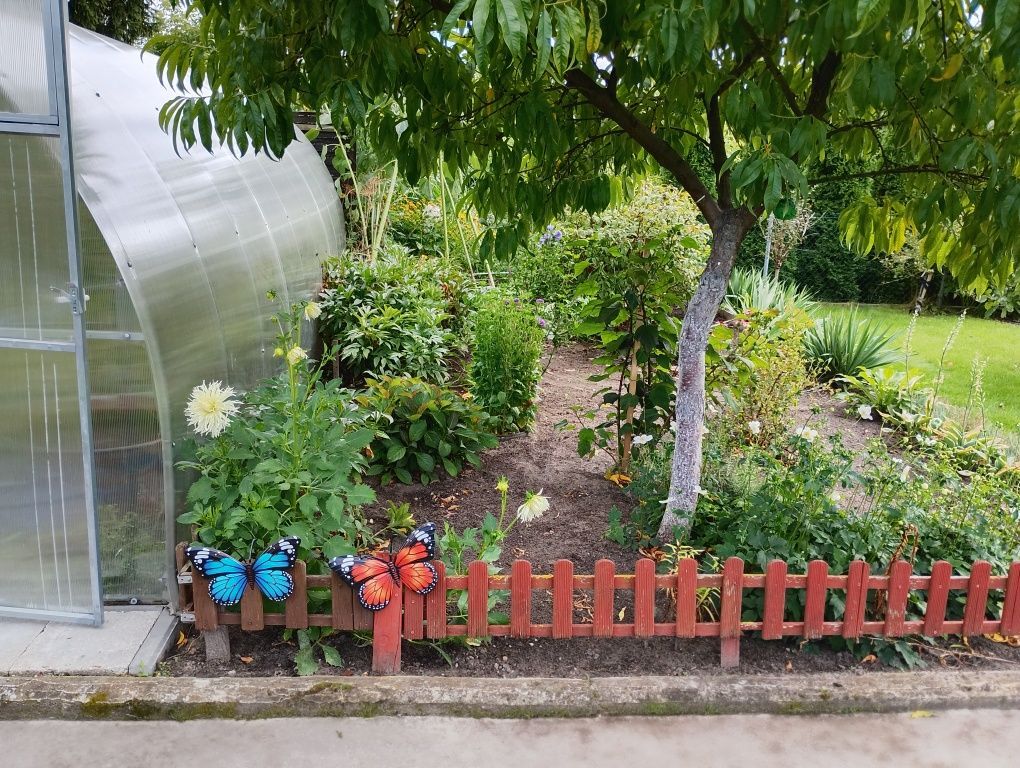 Działka rod Brodnica. Zdjęcie 8