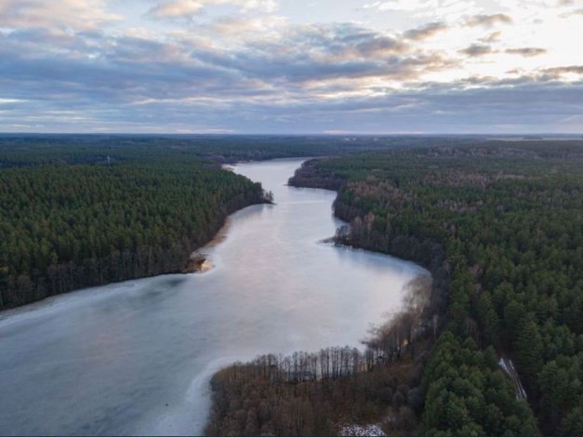 dom wolnostojący, 5 pokoi Zielonowo. Zdjęcie 3