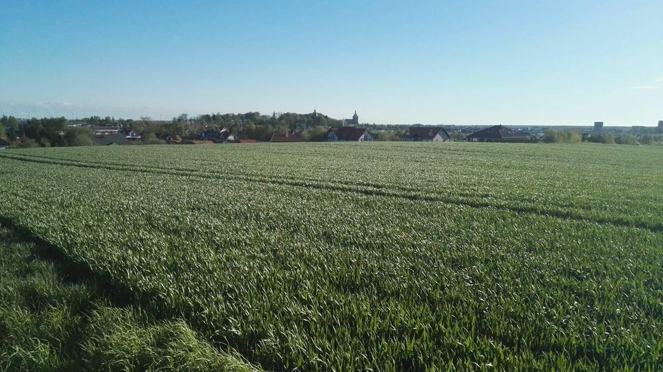 Działka budowlana Darłowo, ul. Słoneczna. Zdjęcie 6