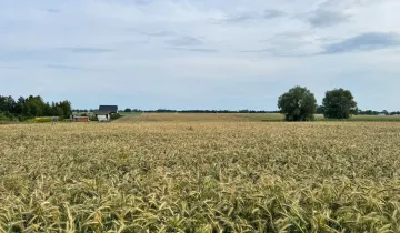 Działka na sprzedaż bez pośredników ul. Lipowa Mielenko - Widok 5