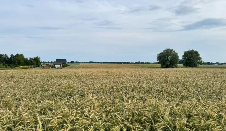 Działka budowlana Mielenko