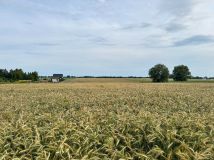 Działka budowlana Mielenko