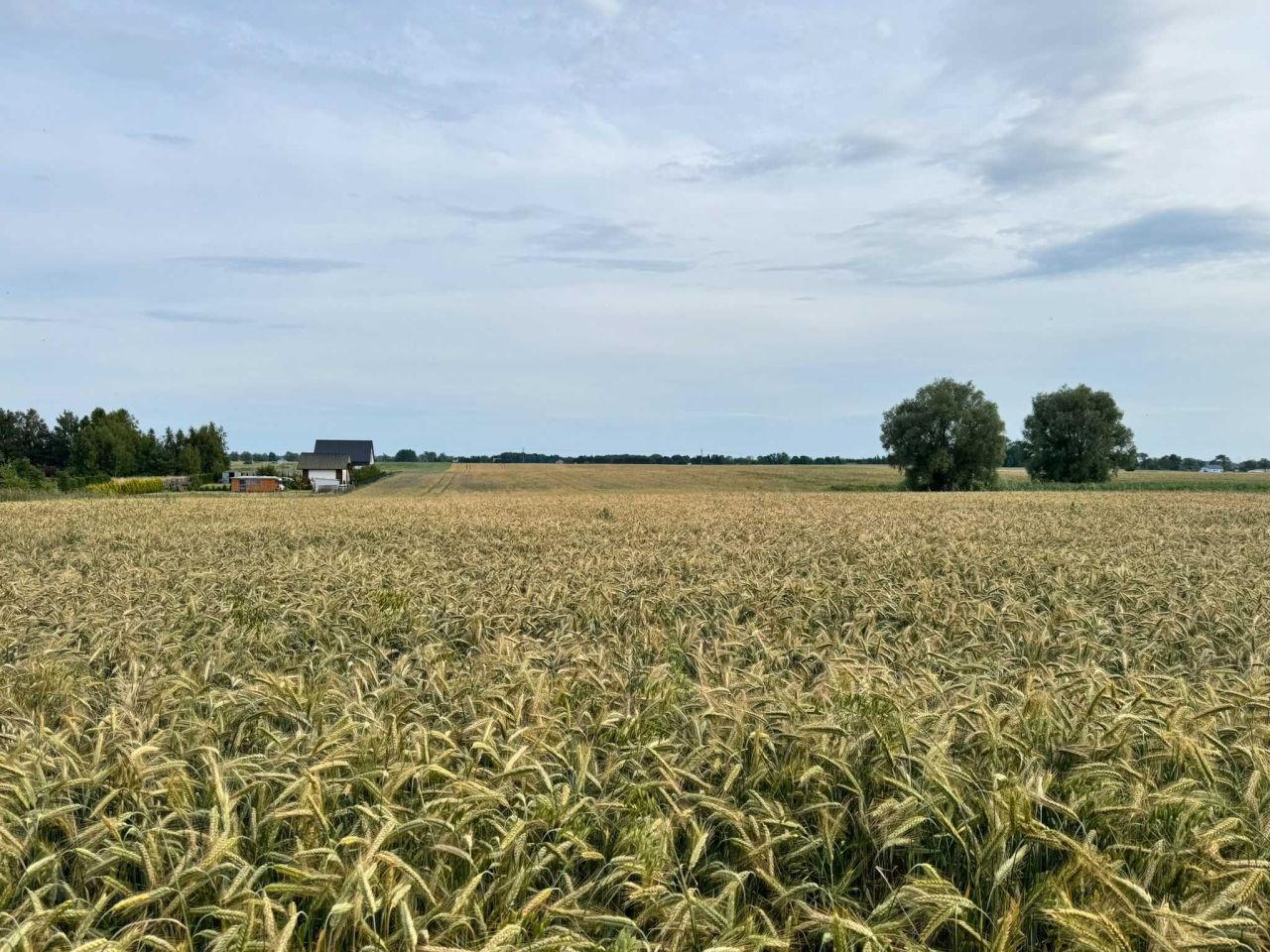 Działka budowlana Mielenko