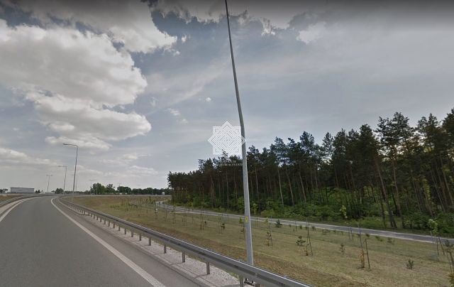 Działka leśna Kuczek. Zdjęcie 8