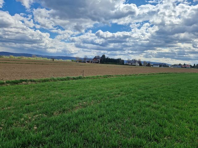 Działka budowlana Pilzno, ul. Grottgera. Zdjęcie 5