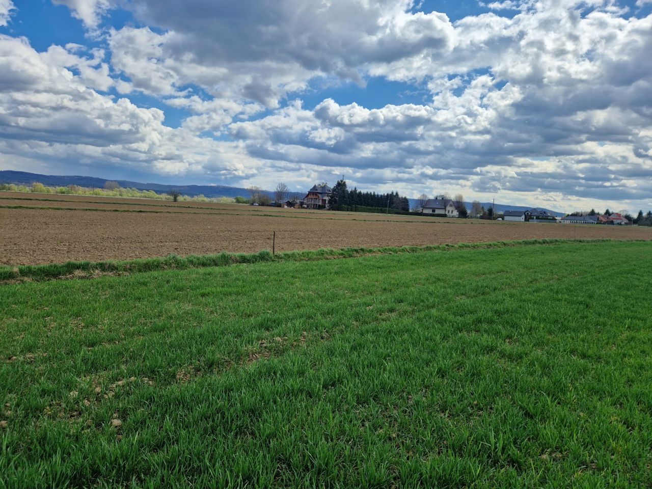 Działka budowlana Pilzno, ul. Grottgera. Zdjęcie 5