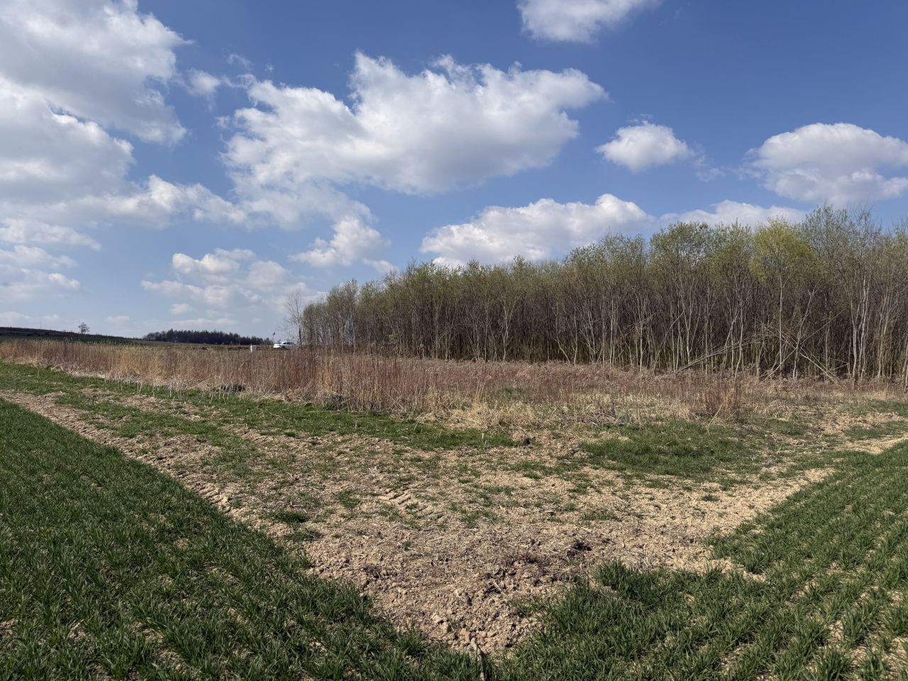 Działka budowlana Kruków, ul. Tarnawska. Zdjęcie 9