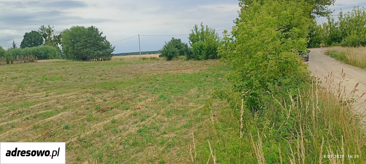 Działka rolno-budowlana Grabowiec. Zdjęcie 6