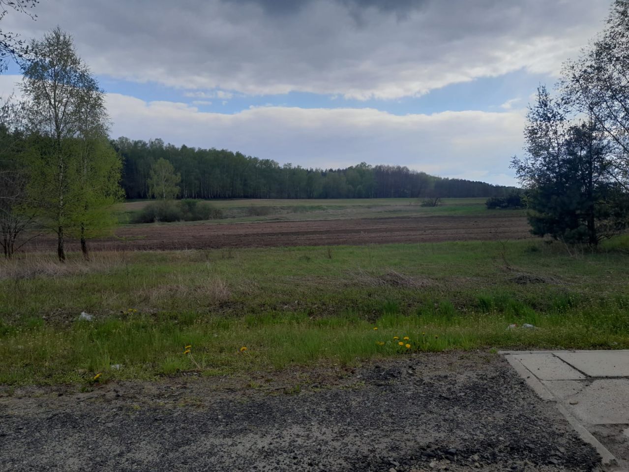 Działka inwestycyjna Młyny. Zdjęcie 10