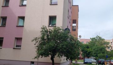 Mieszkanie 3-pokojowe Strzelin, pl. św. Jana