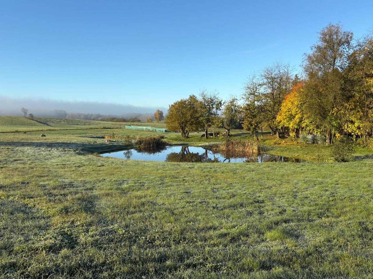 Działka siedliskowa Iwaniszki. Zdjęcie 4