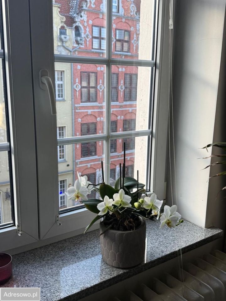 Mieszkanie 2-pokojowe Gdańsk Śródmieście, ul. Piwna. Zdjęcie 13