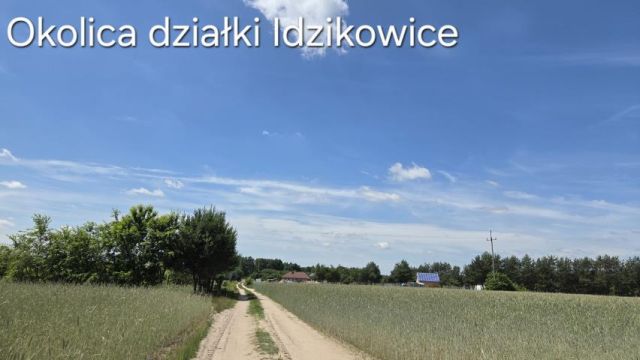 Działka rolna Idzikowice. Zdjęcie 8