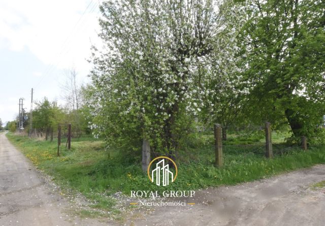 Działka budowlana Łucka-Kolonia. Zdjęcie 2