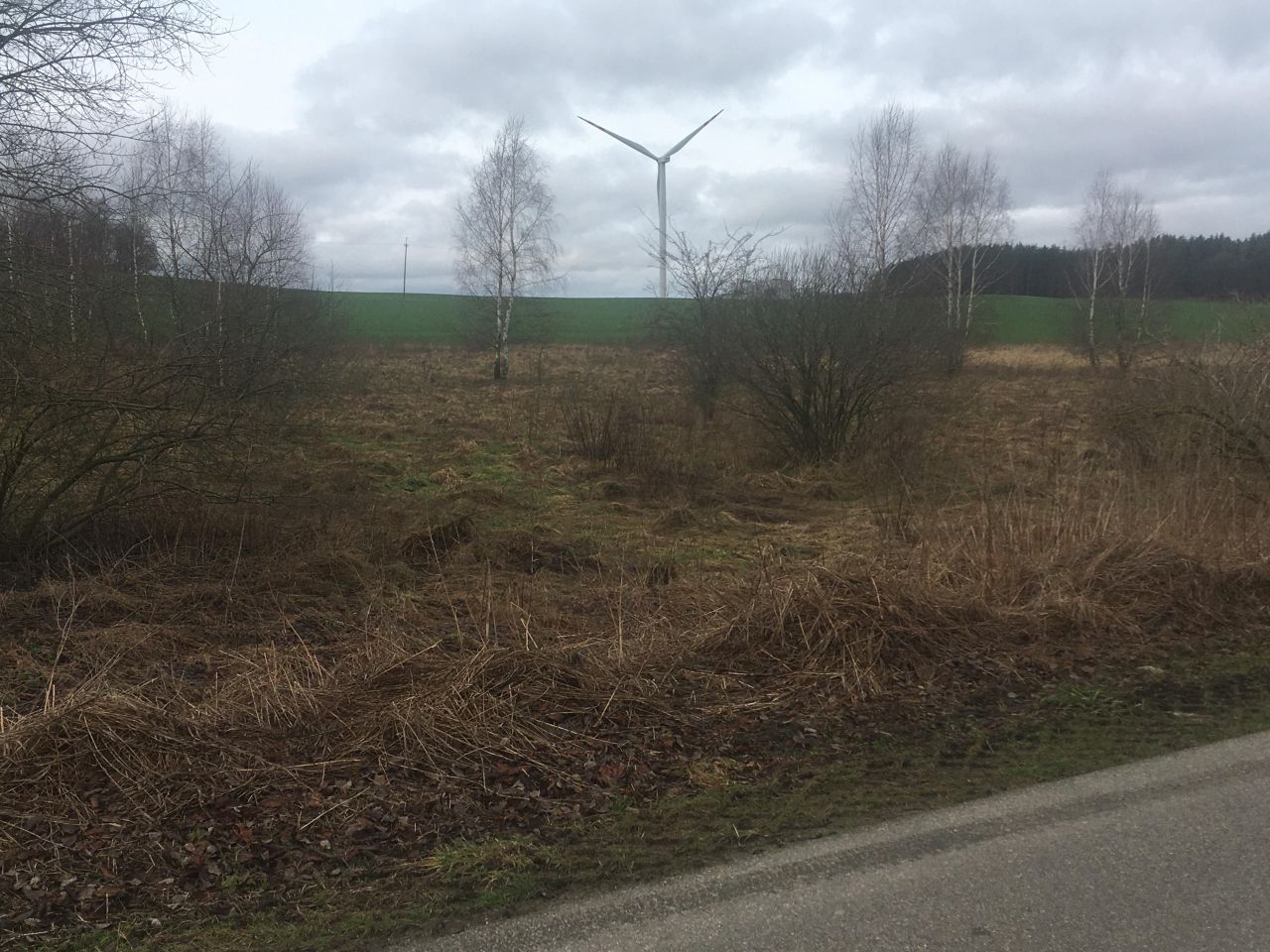 Działka rolna Sulechówko. Zdjęcie 2