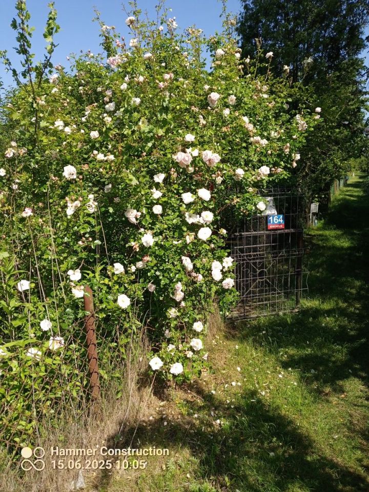 Działka rod Warszawa Paluch, ul. Kinetyczna