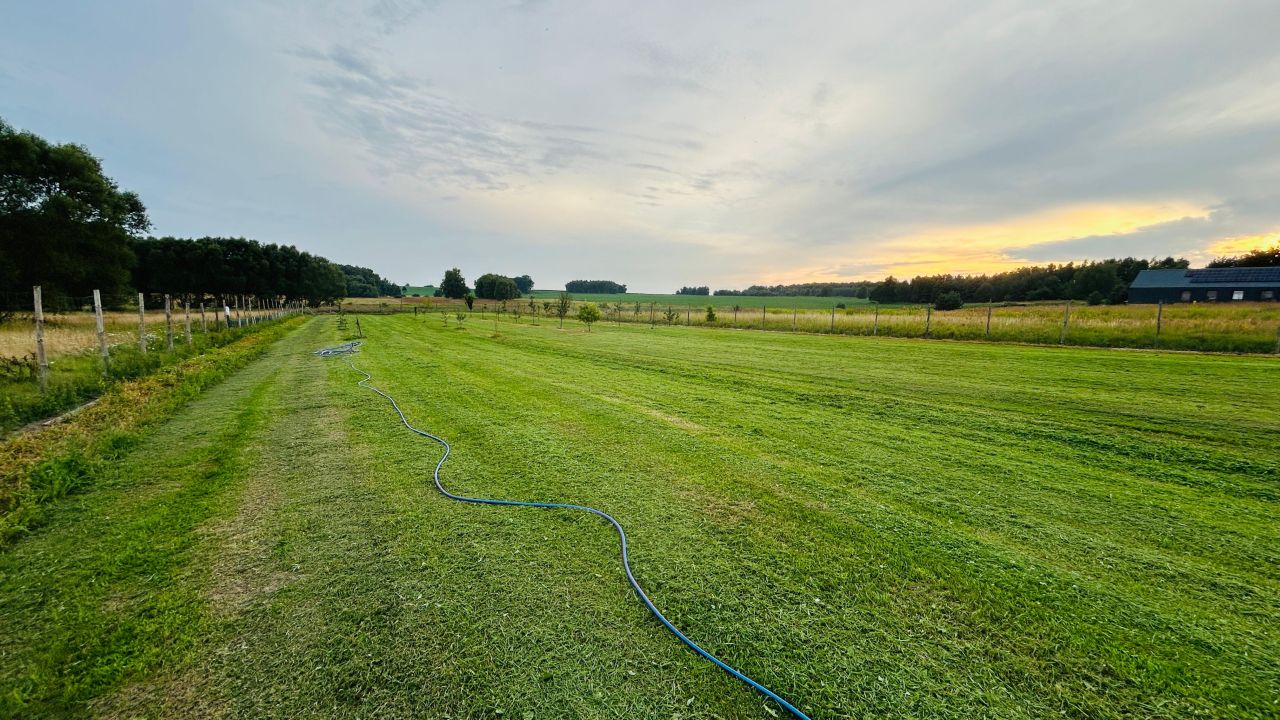 Działka rolno-budowlana Pilchowice, ul. Wielopole. Zdjęcie 3