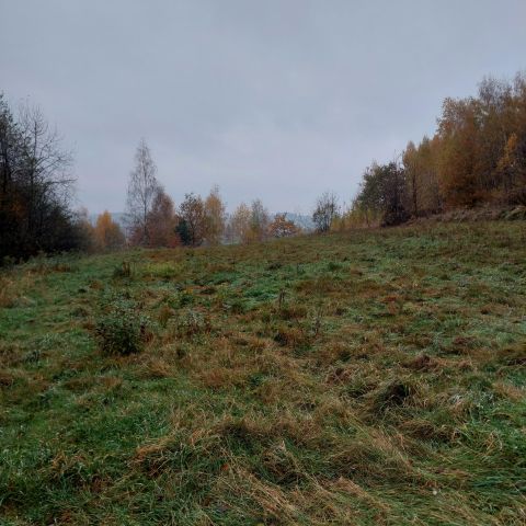 Działka rolna Łapczyca Raj. Zdjęcie 3