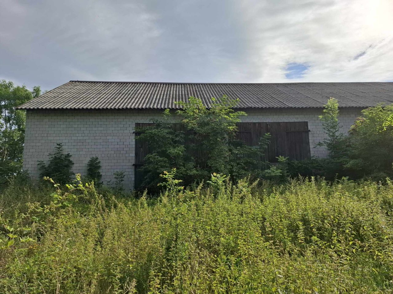 Działka rolno-budowlana Rembieszów Rembieszów-Kolonia. Zdjęcie 2