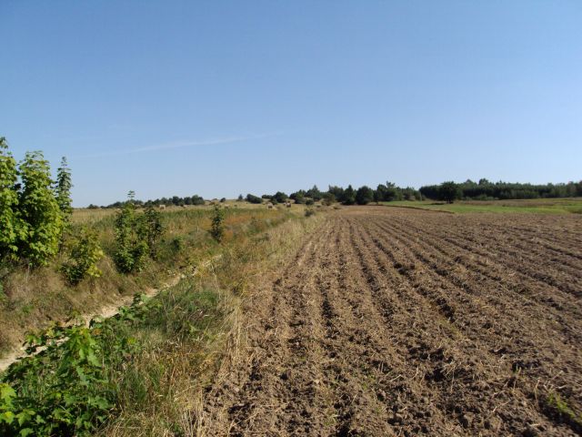 Działka rolno-budowlana Iłża, ul. Kampanii Wrześniowej. Zdjęcie 1