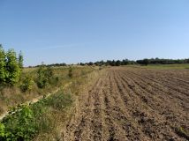 Działka rolno-budowlana Iłża, ul. Kampanii Wrześniowej