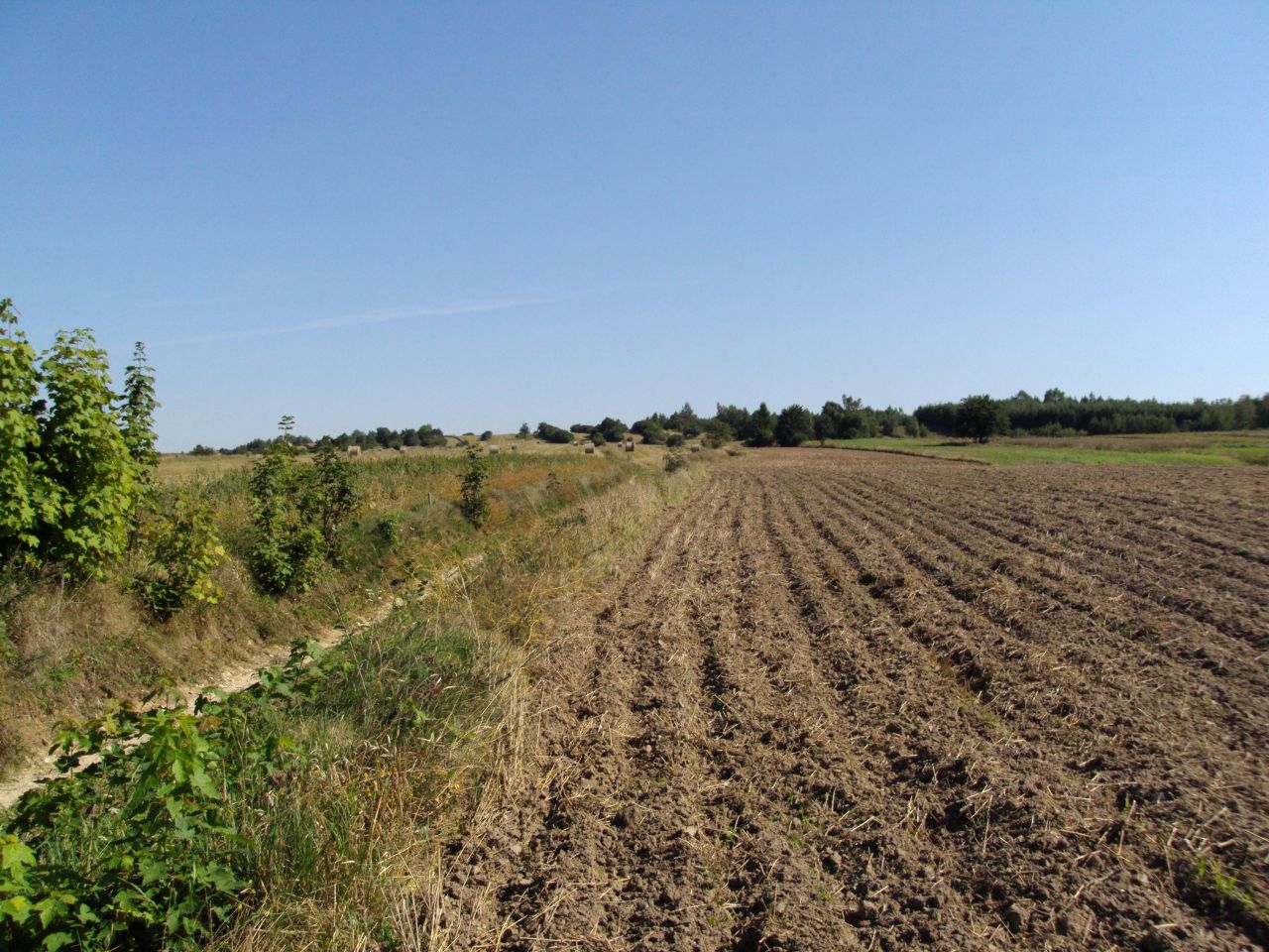 Działka rolno-budowlana Iłża, ul. Kampanii Wrześniowej