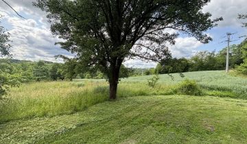 Działka rolno-budowlana Husów